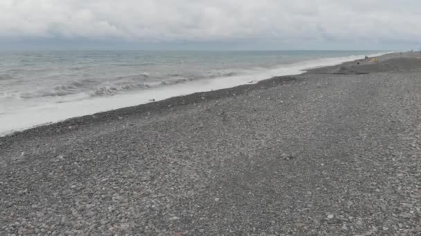 Gaviotas Volando Sobre Ondulado Mar Negro — Vídeo de stock