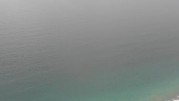 Gaviotas Volando Sobre Ondulado Mar Negro — Vídeo de stock