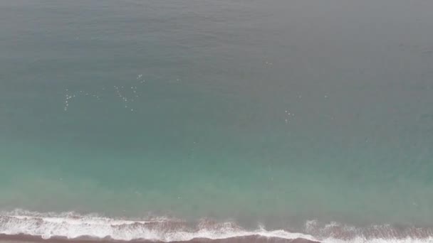 Gabbiani Che Volano Sopra Mar Nero Ondulato — Video Stock