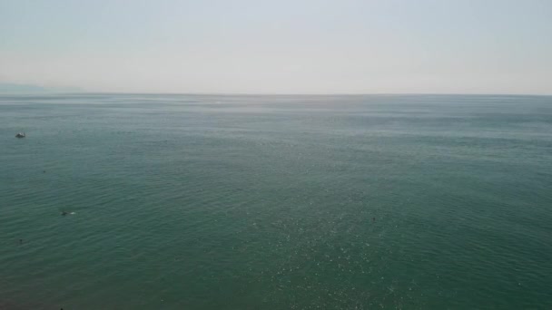 Θαλάσσια Σκούτερ Μια Μαύρη Θάλασσα — Αρχείο Βίντεο