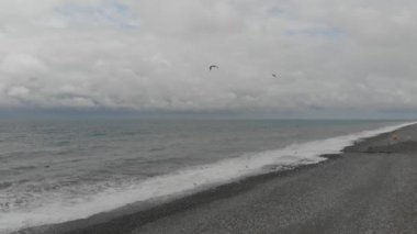 Dalgalı Karadeniz 'in üzerinde uçan martılar