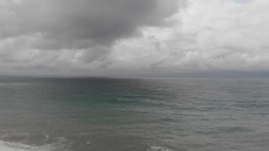 Dalgalı Karadeniz 'in üzerinde uçan martılar