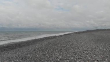 Dalgalı Karadeniz 'in üzerinde uçan martılar