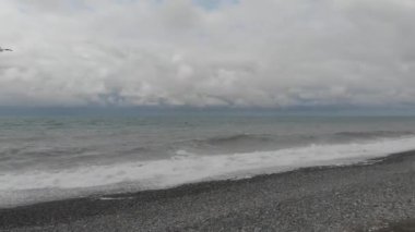 Dalgalı Karadeniz 'in üzerinde uçan martılar