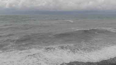 Dalgalı Karadeniz 'in üzerinde uçan martılar