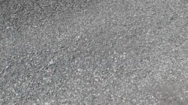 Karadeniz sahilinin taşları yakındır.