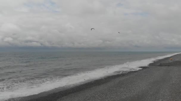 Gaviotas Volando Sobre Ondulado Mar Negro — Vídeos de Stock