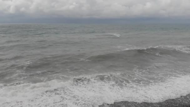 Mouettes Volant Dessus Mer Noire Ondulée — Video