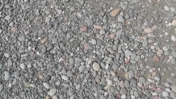 Piedras Una Playa Mar Negro Cerca — Vídeos de Stock