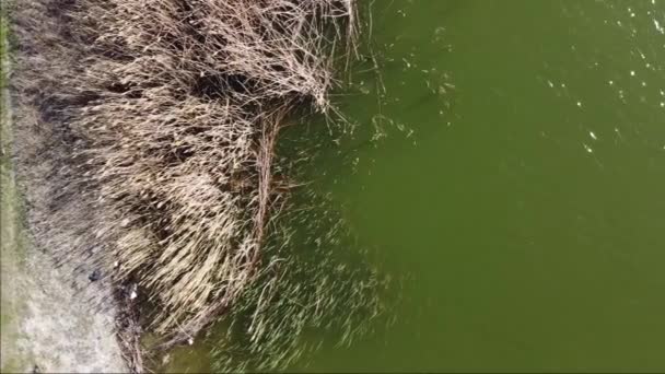 ディキリタス ゴレティ ディキリタス ゴルバシ アンカラ湖の空中と海岸の日没の画像 — ストック動画