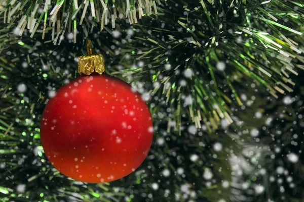 Yeşil bir Noel ağacında asılı kırmızı bir baloncuk