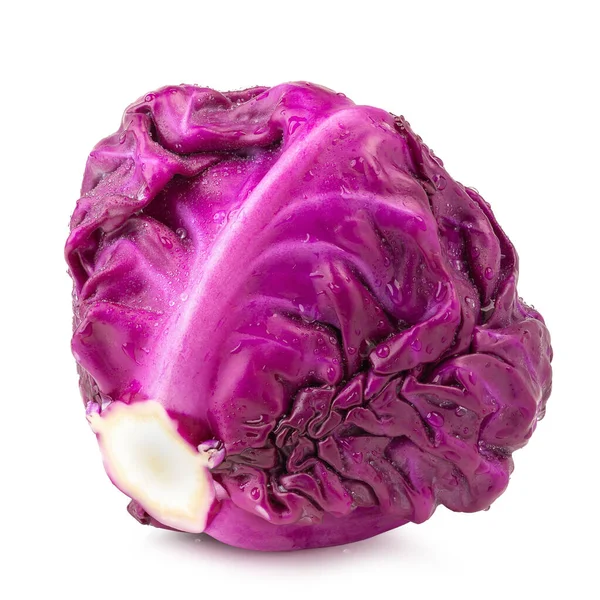 Red cabbage isolated on a white background — Stock Photo, Image