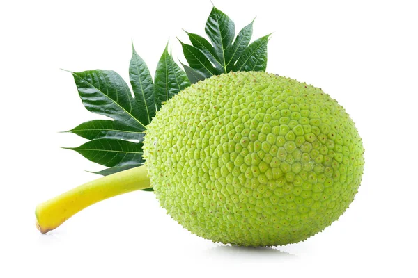 Fresh breadfruit isolated on a white background — 스톡 사진
