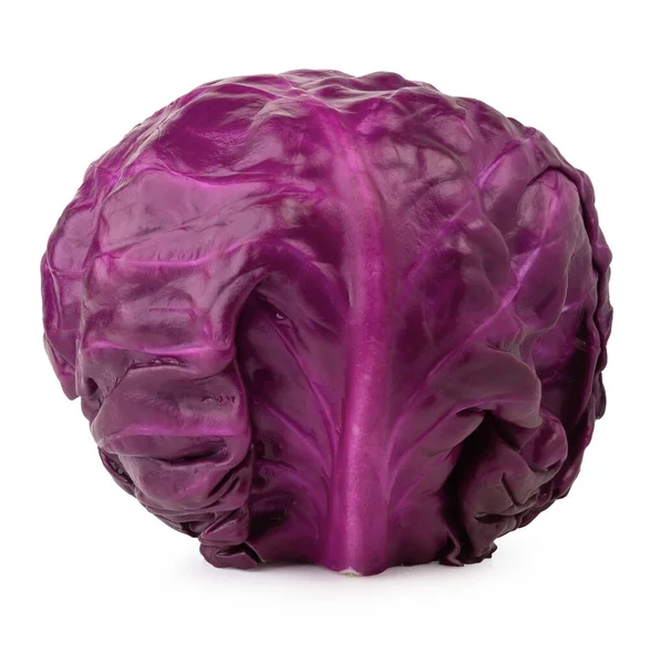 Red cabbage isolated on a white background — Stock Photo, Image