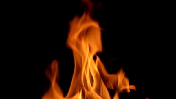 Fire Flames Super Slow Motion Isolated Black — Stock Video