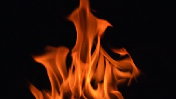 Fire Flames Super Slow Motion Isolated Black — Stock Video