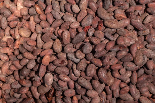 Trabajador asando granos de cacao en una fábrica de fabricación de chocolate —  Fotos de Stock