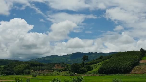 Time Lapse White Nuvens Fofas Fundo Céu Azul — Vídeo de Stock