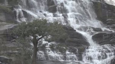 Bahar mevsiminde şelale ormanın derinliklerinde bulunur. Mae Ya Şelalesi, Chiang Mai, Tayland.