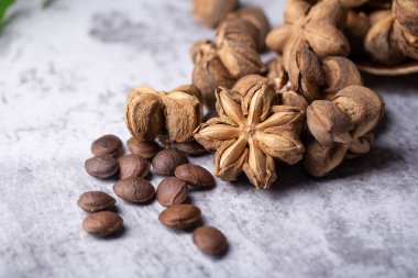 Bir yığın kurutulmuş Sacha Inchi fındığı. Işık stüdyosunun doğal arka planı.