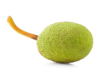 Fresh breadfruit isolated on a white background clipart