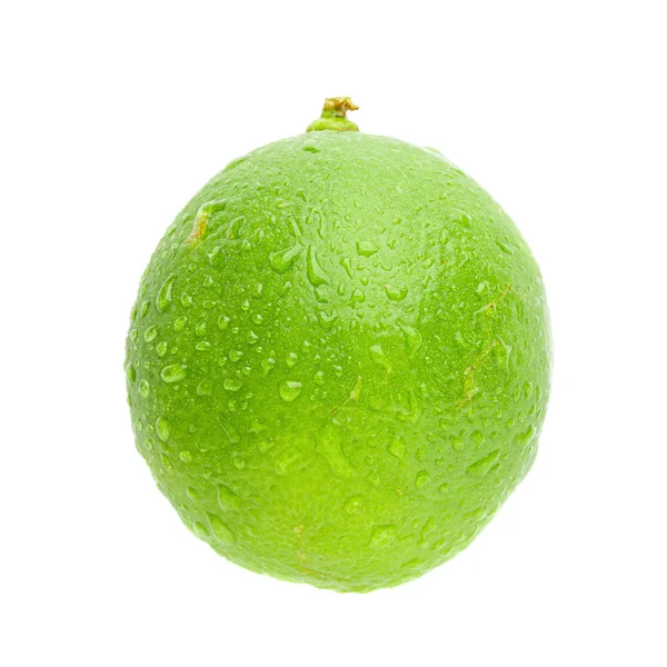 Limão verde fresco isolado sobre fundo branco — Fotografia de Stock