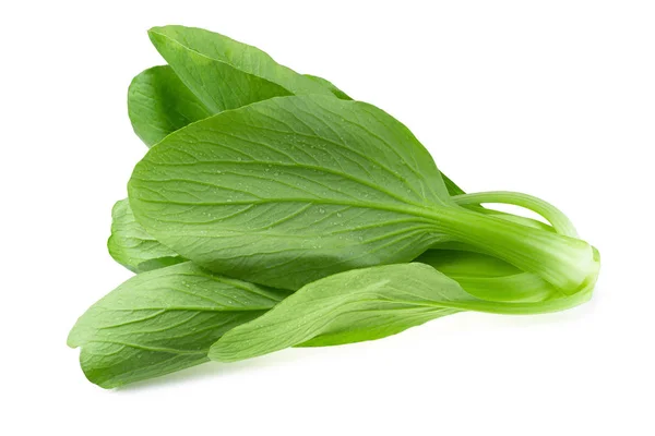 Bok choy cavolo isolato su uno sfondo bianco — Foto Stock