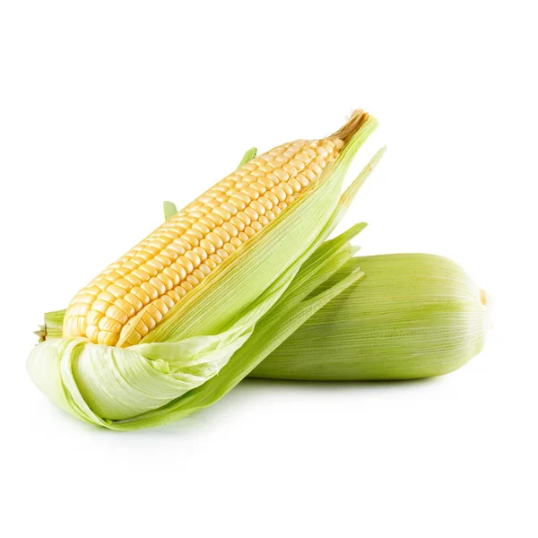 Färsk majs isolerad på vit bakgrund — Stockfoto