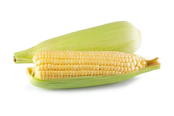 Färsk majs isolerad på vit bakgrund — Stockfoto