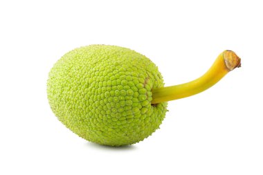 Fresh breadfruit isolated on a white background. clipart