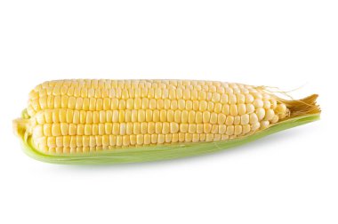 taze beyaz zemin üzerine izole Mısır.