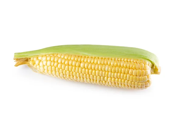 Fresh Sweet Corn Isolated White Background — Stock Photo, Image