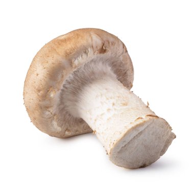 Beyaz arka planda izole edilmiş Shiitake mantarları..