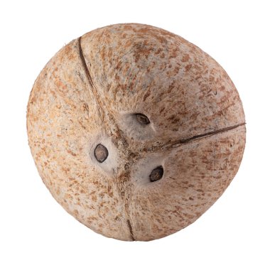 Beyaz arkaplanda izole edilmiş hindistan cevizleri.