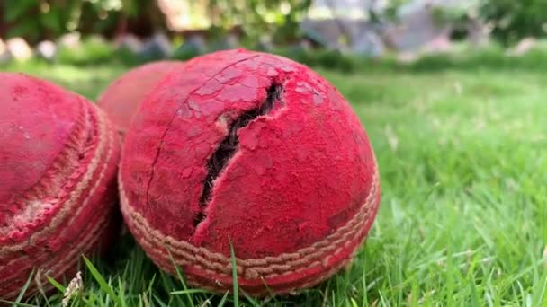 Three Damaged Red Color Cricket Leather Ball Green Grass Close — Stock Video