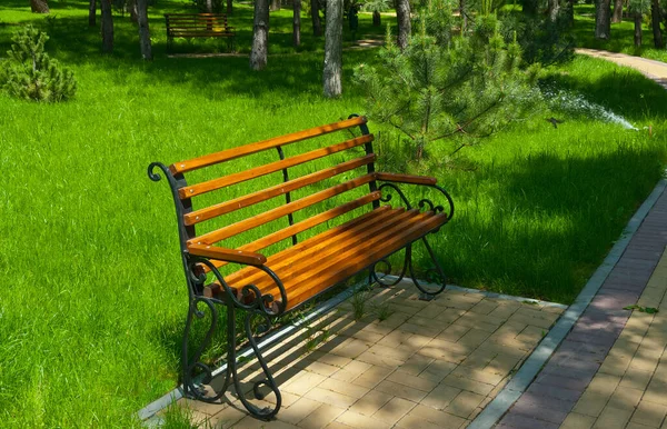 Bench Park Green Lawn — Stock Photo, Image