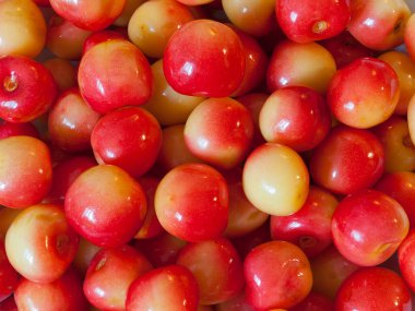 Tatlı kirazlar, sarı-kırmızı.