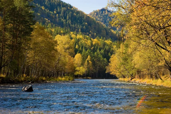 Altaï Vue Sur Rivière Chemal Automne — Photo