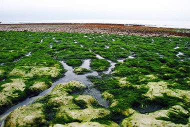 Yumuşak palet renkleri deniz kenarındaki su bokeh