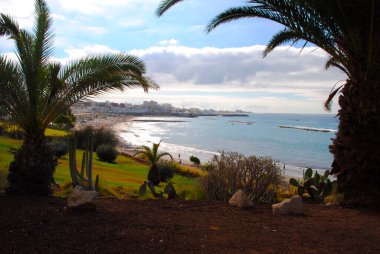 Tenerife.Kanarya adaları. İspanya