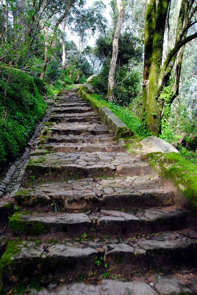 Ruta Peatonal Palacio Peña Sintra Portugal — Foto de Stock