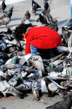 Milano, İtalya 'da Güvercinler ve Çocuklar