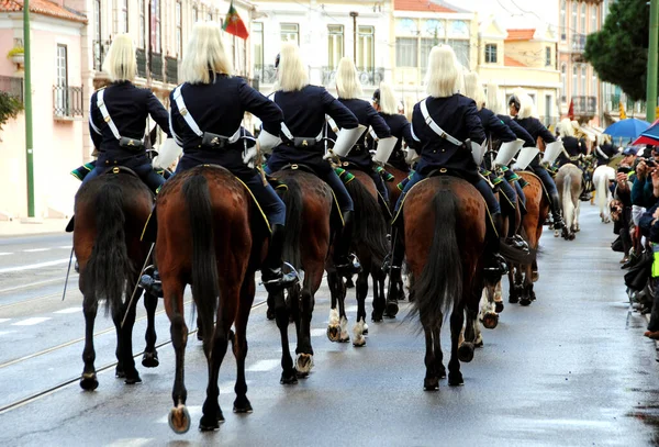 Desfile Caballos Lisboa Portugal —  Fotos de Stock