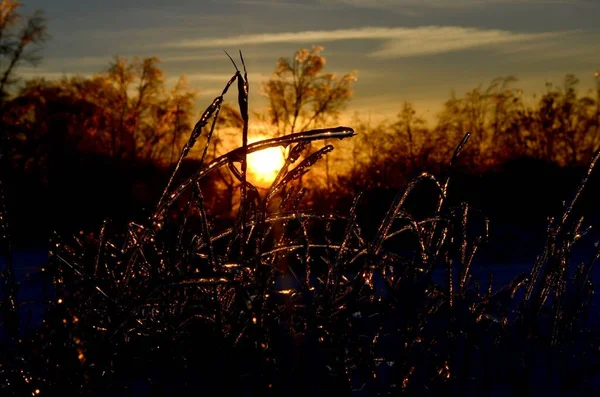 Sunset Freezing Rain — Stock Photo, Image