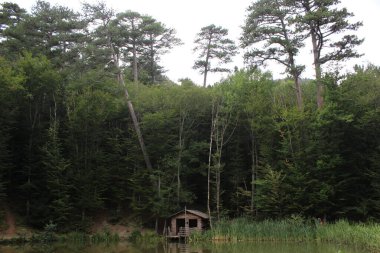 Kırım dağını aşmak Ai-Petri Yalta