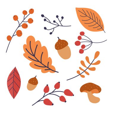 Sonbahar yaprağı sembolü. Elle çizilmiş sonbahar yaprağı. Poster, mutfak tekstili, giysi ve web sitesi tasarımı.