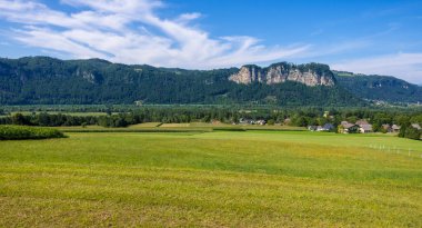 Alp Sahnesi. Avusturya 'daki Karayip Alpleri' nin manzarası