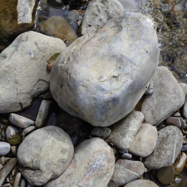 Kayalık yataklı sığ bir nehir.