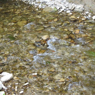 Kayalık yataklı sığ bir nehir.