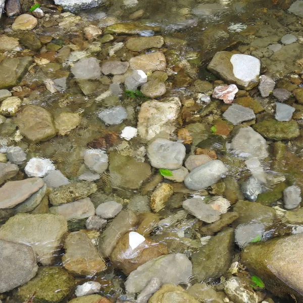 岩盤のある浅い川は — ストック写真